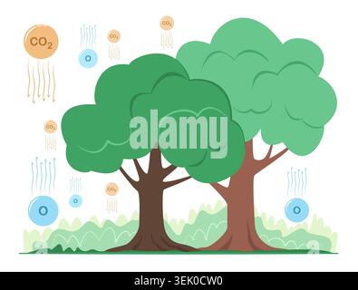Big Trees in Natural Forest Absorb Carbon Dioxide and Release Oxygen into the Atmosphere for Mitigation the Global Warming, Climate Change Concept Stock Vector