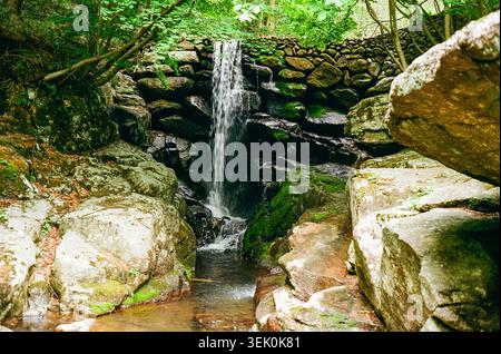 Small Forest Waterfall Among Mossy Rocks Stock Photo