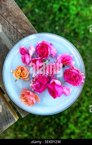 Edible rose petals and blossoms on a plate over a rustic wooden table surface, fresh organic homegrown flower harvest from a garden, Slovenia. Stock Photo