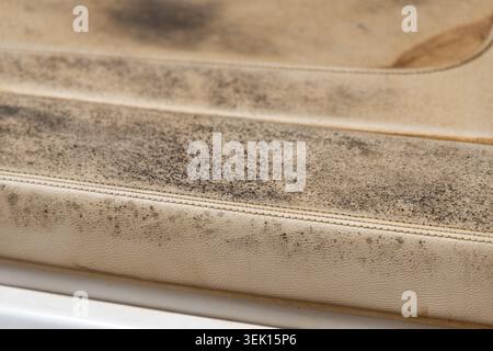 Detailed view of dark mold spots and mildew growth on the textured surface of a boat seat Stock Photo