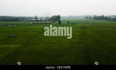 Heart Rice Paddy Vibrant green rice paddies stretching across a rural valley with a ...
