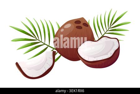 Coconut with palm leaves vector illustration Stock Vector