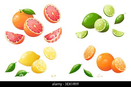 Vector set of citrus fruit elements Stock Vector