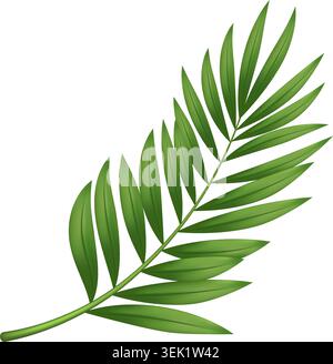 Tropical Leaf Stem Isolated Vector Stock Vector