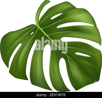 Monstera Leaf Isolated Vector Stock Vector