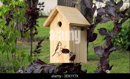 A clean wooden nesting box with a small round entry hole is mounted outdoors on a tree trunk next to deep purple European beech Fagus sylvatica Stock Photo