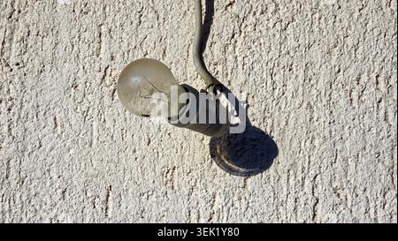 A single classic glass lightbulb in a socket casts a sharp round shadow on a rough plaster building facade under harsh direct sunlight Stock Photo