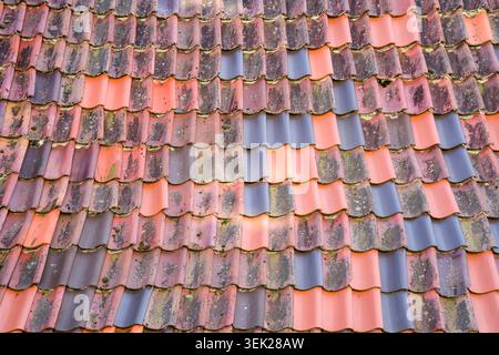 Old, weathered and repaired tiled roof, Warburg, North Rhine-Westphalia, Germany, Europe Stock Photo