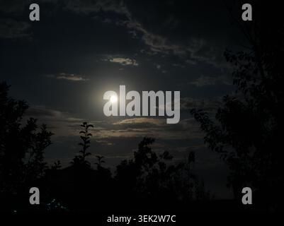 Bright full moon illuminates a dark night sky, partially hidden by clouds. Silhouettes of trees frame the scene, enhancing the serene and mysterious atmosphere. Stock Photo