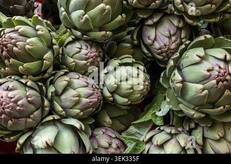 A close-up of a pile of fresh whole globe artichokes with green and purple tinged leaves on display at a market stall, Uzes Market, France Stock Photo