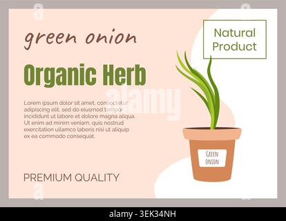 Organic herb banner. Green onion in pot. Minimal eco product poster, fresh herb marketing design, natural food label concept. Typography with copy space for text. Vector cartoon isolated illustration Stock Vector