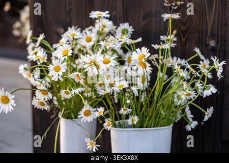 White rubber boots with daisy bouquet. Fresh white daisies arranged in white rubber boots against a dark wooden background, creating a charming rustic Stock Photo