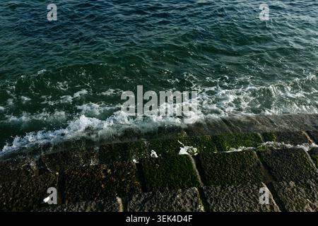 Close-up view of sea waves breaking against a weathered stone seawall covered with green moss and algae. Natural coastal scene featuring textured maso Stock Photo