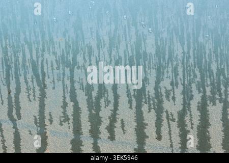 Abstract pattern of dark vertical lines on light blue background conveying sense of mystery and calm, resembling sparse forest or textured natural sur Stock Photo