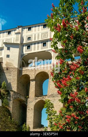 Ancient stone arched bridge with flowering shrub against blue sky Stock Photo