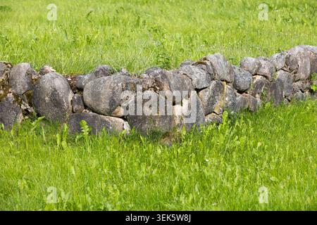Ancient low stone wall runs through a lush green meadow, formed from rounded mossy rocks set in tall grass. The scene conveys rustic countryside charm Stock Photo