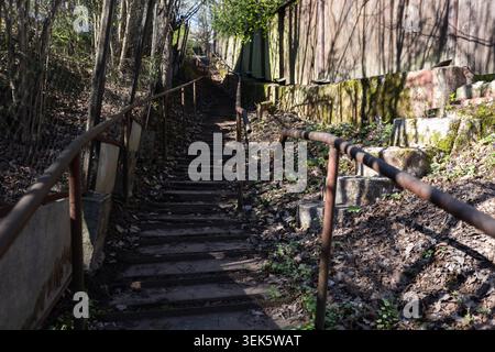 Rusty metal handrails flank a worn concrete staircase winding uphill through a shaded woodland path, surrounded by moss, fallen leaves and late winter Stock Photo