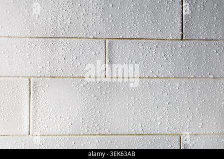 Water droplets bead on glossy white shower tiles. Stock Photo