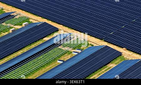Aerial view of a large array of blue photovoltaic solar panels arranged ...