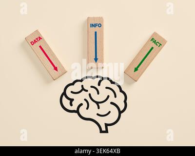 Human brain illustration receiving data, info, and facts, representing concepts of knowledge and intelligence Stock Photo