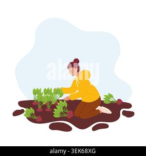 Woman harvesting rich beet crop. Farm field background. Vector illustration for organic farming, harvest festival, seasonal market Stock Vector