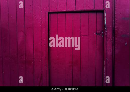 A vibrant magenta wooden wall with visible planks features a smaller, recessed door, showcasing rustic textures and a striking monochromatic color pal Stock Photo