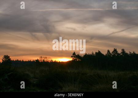 Dramatic Sunset Sky Above Dark Tree Silhouettes and Cloud Cover Stock Photo