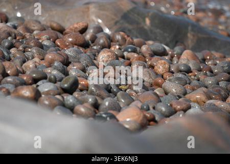 Close Up of Wet Smooth Colorful Pebbles on Rocky Beach Coastline Stock Photo