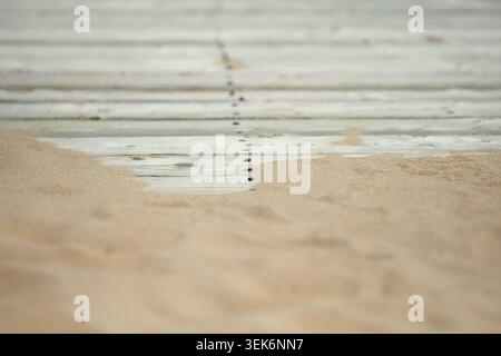 Close Up of Sand Drifting Over Weathered White Wooden Planks at the Beach of Nova Scotia Stock Photo