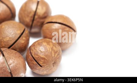 Macadamia nuts in cracked hard brown shell isolated on white background copy space Stock Photo