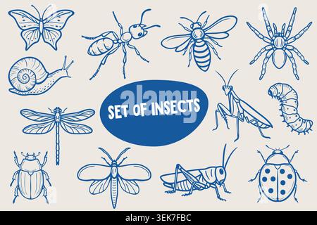 Set of insects illustrated in blue line art featuring butterflies, ants, bees, spiders, snails, and various other insects on a light background Stock Vector