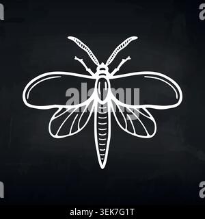 Illustration of a detailed moth with symmetrical wings and intricate body structure on a dark background, showcasing fine line art and design elements Stock Vector