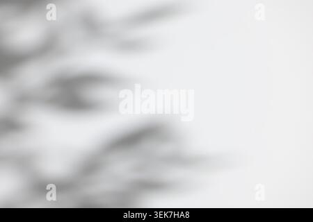 Soft gray abstract background with blurred shadow shapes, smooth gradient light, subtle smoky texture, and minimal monochrome atmosphere. Suitable for Stock Photo