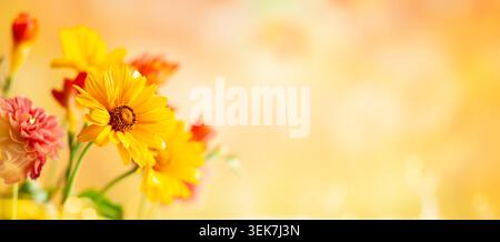 Vibrant Yellow and Orange Flowers Against a Soft Golden Background Stock Photo