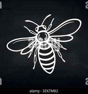 White illustration of a bee with detailed wings and body features on a black chalkboard background, showcasing its distinct striped abdomen and Stock Vector