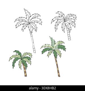 Tropical palm trees set flat vector graphic illustration. Isolated exotic botanical doodle elements with white background for summer beach designs Stock Vector