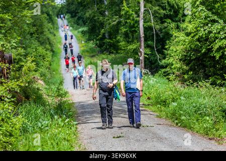 Two men enjoying the summer atmosphere on a forest path during the 14th Frankenwald Hiking Marathon, with other participants in the background, near Pressig, Bavaria, Germany Stock Photo