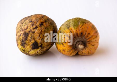 Two ripe custard apples are placed side by side on a clean white surface. This exotic tropical fruit image is perfect for food blogs, healthy nutritio Stock Photo