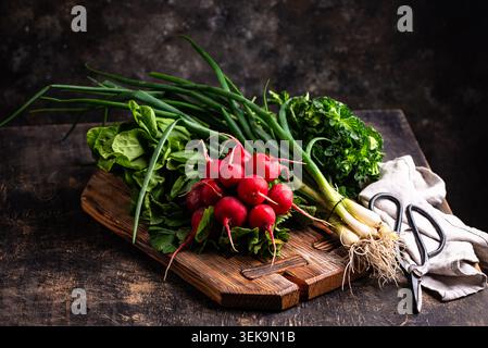 Radish, onion and herbs, spring greens concept Stock Photo