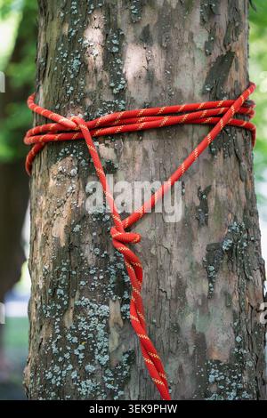 Red dynamic rope wrapped around a tree trunk with safety knot for slackline anchor system Stock Photo