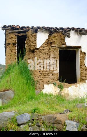 A detailed view of an abandoned stone and mudbrick dwelling in Kakopetria, showing exposed brickwork, rotting roof beams, and overgrowing wild grass. Stock Photo