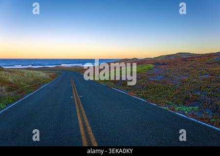 Empty coastal road winding through green and red plants with ocean and sunset horizon Stock Photo