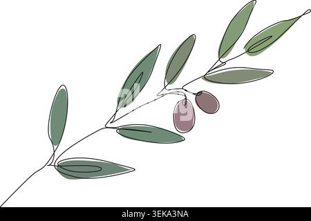 minimalist continuous line drawing of olive branch with green leaves and olives, abstract botanical line art vector illustration Stock Vector