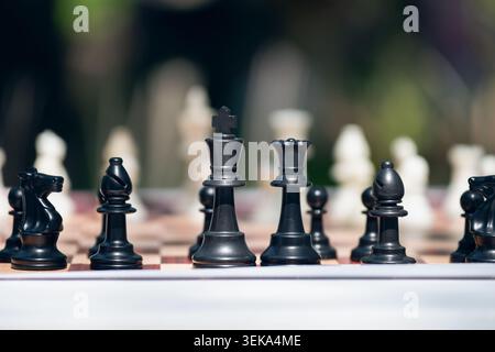 Black chess pieces lined up on a board close up view on king and queen with blurred bokeh background Stock Photo