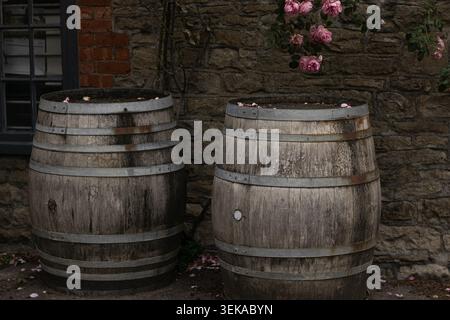 Rustic wooden barrels used as planters outside a brewery building with stone wall backdrop and pink flowers. Stock Photo
