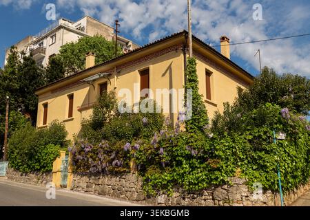 Yellow two-story house with closed brown shutters and purple flowers in Rovinj, Istria, Croatia. Stock Photo