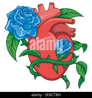 Detailed color image of a human heart surrounded by a bouquet of fresh red roses. Romantic and biological concept that combines passion with anatomy i Stock Vector