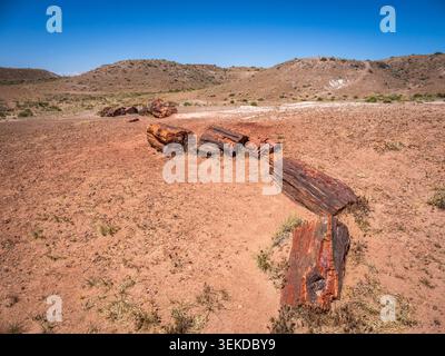 Petrified  wood in the Jasper Forest section of Petrified Forest National Park in Arizona USA Stock Photo