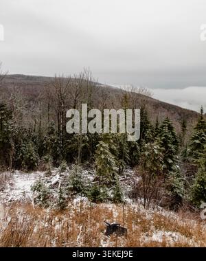 Winter forest landscape with snow-dusted evergreen trees under an overcast sky, overlooking a misty mountain ridge Stock Photo