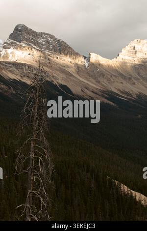 A stunning mountain range partially illuminated by sunlight, contrasts sharply with a dark forested foreground Stock Photo